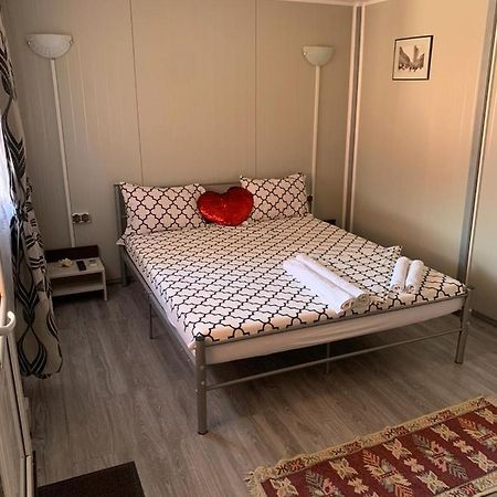 Casa Irimia Apartment ซูลีนา ภายนอก รูปภาพ