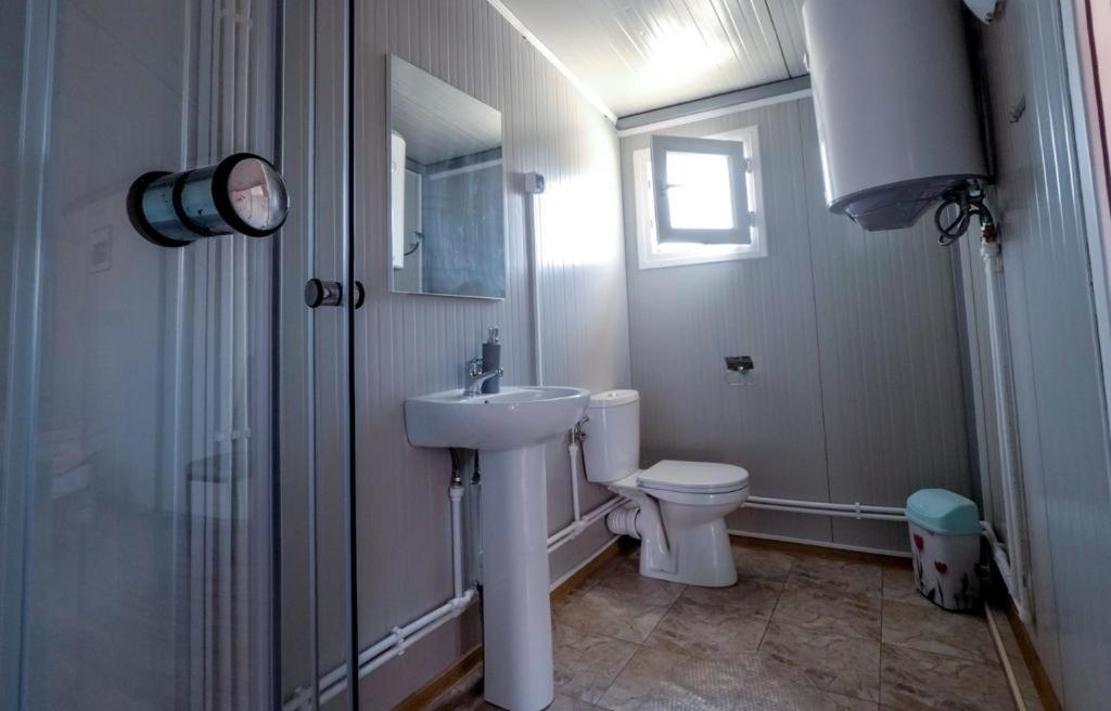 Casa Irimia Apartment ซูลีนา ภายนอก รูปภาพ